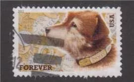 This Forever Stamp commemorates Man's Best Friend, the Dog. Animals are often used in stamp designs throughout the world with dogs being about the most popular such as this example from a recent set of forever postage stamps.