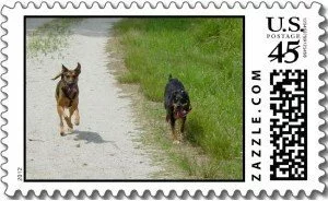 Dogs at Play - the perfect picture for custom postage stamps