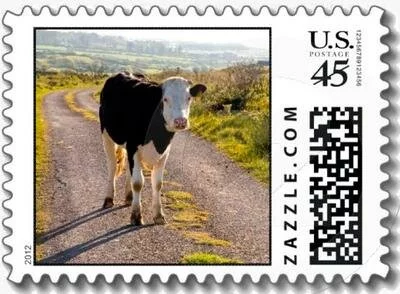 Unexpected Roadblock in West Cork Custom Postage Stamp